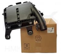 Õhufiltri korpus (koos filtriga) OEM Citroen/Peugeot 1,6HDi DV6F