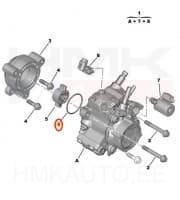 Kütusepumba tihend OEM Peugeot/Citroen 2,2HDi Euro5