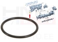 Sisselaskekollektori tihend OEM MB 3,0CDI (O-rõngas 48x3,5mm)