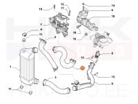 Turbo õhuvoolik OEM Jumpy/Expert/Scudo 2,0HDI 2011- Euro5