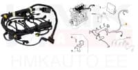 Mootori juhtmestik OEM Jumper/Boxer/Ducato 3,0HDi (EURO4)