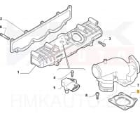 Drosselklapi tihend OEM Fiat