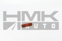 Väljalaskegaaside rõhuanduri voolik Renault