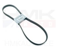 Mitmikkiilrihm 6PK1175 OEM Nissan