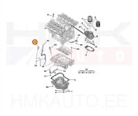 SOODUS!!! Õlivarras OEM Citroen C5,C6 / Peugeot 407 3,0HDI  DT20C