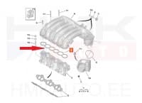 Sisselaskekollektori tihend OEM Citroen/Peugeot/Renault 3,0 V6