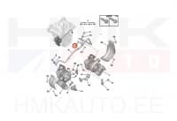 Turbo õlitustoru tihend OEM Citroen/Peugeot