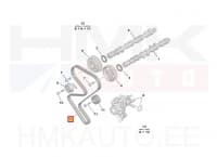 Hammasrihm OEM Peugeot/Citroen 1,8-2,2 EW7/10/12