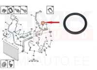 O-rõngastihend jahutusvedeliku torule OEM Citroen/Peugeot 2,0HDi DW10  31x4,55