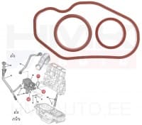 Karterituulutuse/õliseparaatori tihendite komplekt OEM Citroen/Peugeot