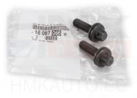 Nukkvõlli rihmaratta polt Citroen/Peugeot 1,2THP