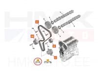 Hammasrihma komplekt + veepump OEM Citroen/Peugeot 1.6 16v  -04