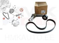 Mitmikkiilrihma komplekt OEM Citroen/Peugeot 1,6THP EP6
