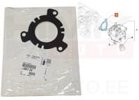 Kõrgsurvepumba tihend OEM Citroen/Peugeot/Fiat 2,0HDi DW10 Euro4