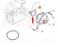 Vaakumpumba tihendusrõngas OEM Citroen/Peugeot/Fiat 1,9D