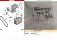 Mitmikkiilrihm 6PK1750 OEM Citroen/Peugeot