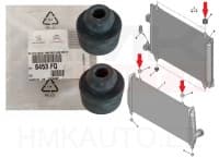 A/C radiaatori fikseerimis puks OEM Citroen/Peugeot