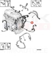 Mootori juhtmestik OEM Citroen/Peugeot TU1/TU3 Euro5