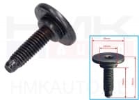 Polt M6X1,00-L24 OEM Citroen/Peugeot/Fiat  (1tk.)