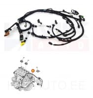 Mootori juhtmestik OEM Jumper/Boxer 2,2HDI 2011-14 Euro5