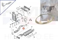 Summuti tihend OEM Citroen/Peugeot 1,6HDi