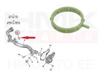 O-rõngastihend jahutusvedeliku torule OEM Citroen/Peugeot 1,6BlueHDI