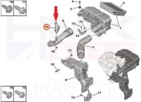 Karterituulutuse soojenduselement OEM Citroen/Peugeot 1,5BlueHDi