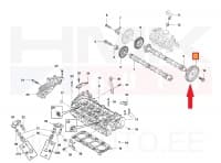 Kütusepumba hammasratas nukkvõllile OEM Renault Master 2,3DCi 2014-