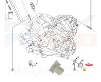 Õlikork käigukastile OEM Renault