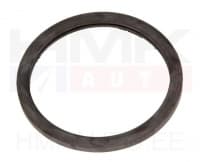 Termostaadi tihend OEM Renault