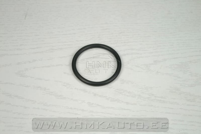 Sisselaskekollektori tihend OEM Peugeot/Citroen 1,9D DW8