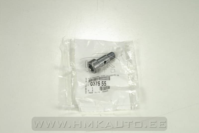 Turbo õlitustoru kinnituspolt OEM 1,4-1,6HDI 12/10X100-29