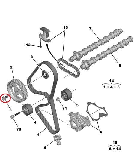 Nukkvõlli rihmaratta polt M10x1,50-L25 OEM Citroen/Peugeot 1,5BlueHDI DV5R