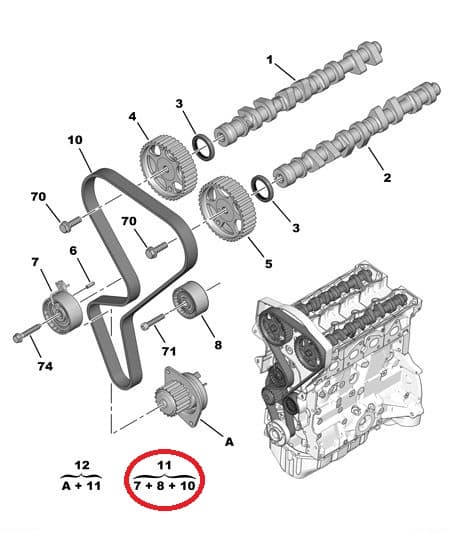 Hammasrihma komplekt OEM Citroen/Peugeot 1,6 16v 04- TU5JP4/EC5