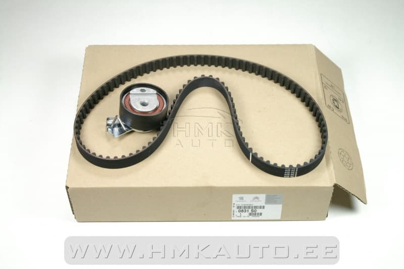 Hammasrihma komplekt OEM Citroen/Peugeot 1,4