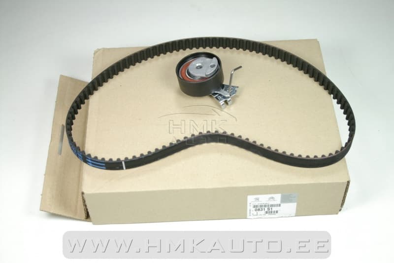 Hammasrihma komplekt OEM Citroen/Peugeot 2,0HDI DW10BTED4