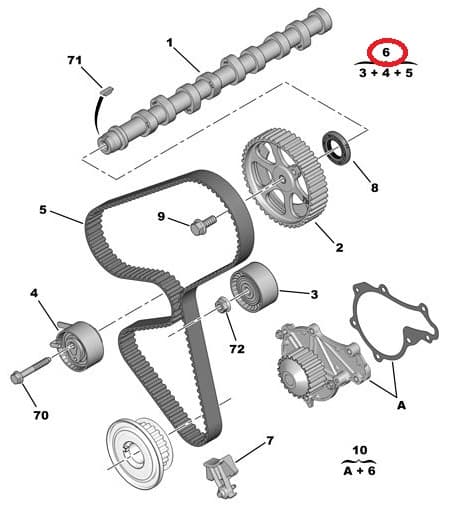 Hammasrihma komplekt OEM Citroen/Peugeot 1,4HDI