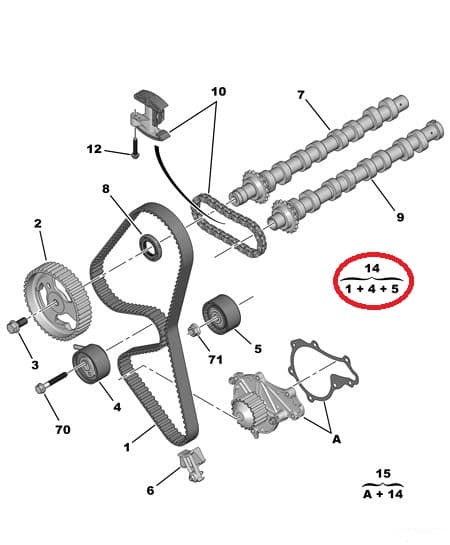 Hammasrihma komplekt OEM Citroen/Peugeot 1,6HDI DV6TED4