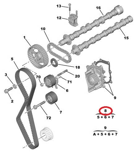 Hammasrihma komplekt OEM Citroen/Peugeot 2,2HDI