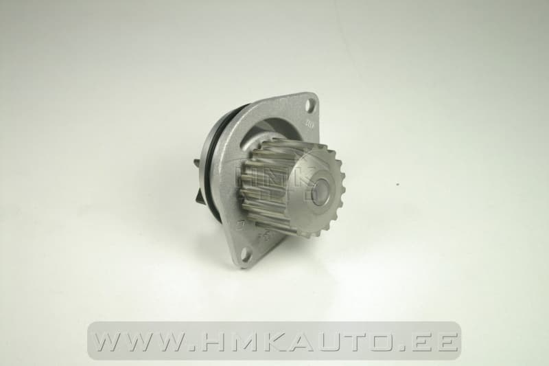 Veepump Citroen/Peugeot 1,6i 16V TU5JP4