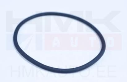 Termostaadi tihend Fiat Ducato 2,3JTD