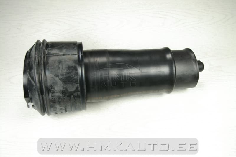 Tagasilla õhkvedru OEM Jumpy/Expert/Scudo 2007- (VAN)