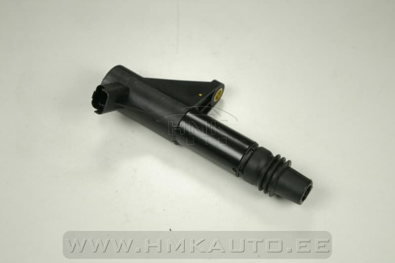 Süütepool Citroen/Peugeot/Renault 3,0 V6