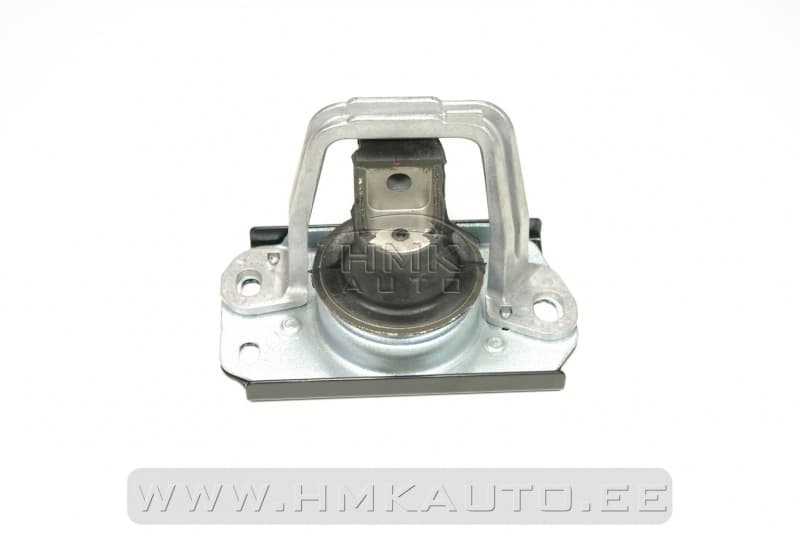 Mootoripadi parem Renault Trafic II