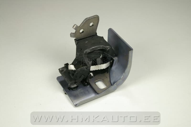 Summuti kinnitus tagumine Renault Megane II/Scenic