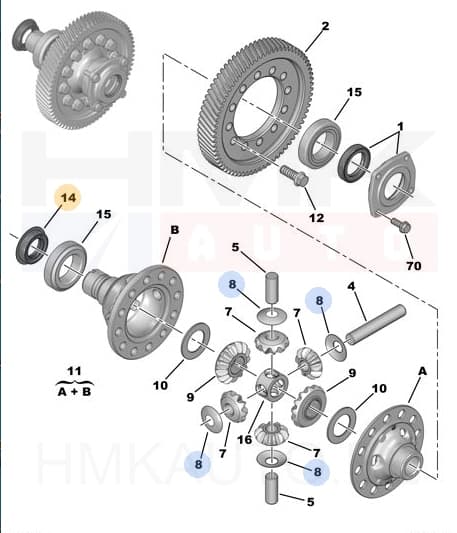 Veovõlli tihend parem OEM Citroen/Peugeot 32x50x10