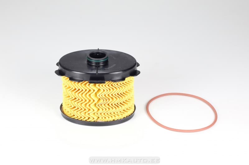 Kütusefilter Citroen/Peugeot 1,9D DW8