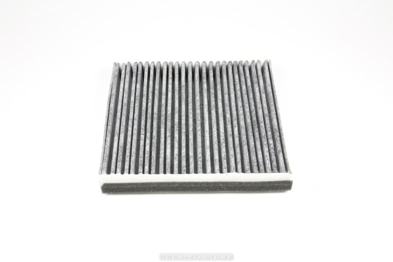 Salongiõhu filter Renault Laguna II/ Vel Satis söega