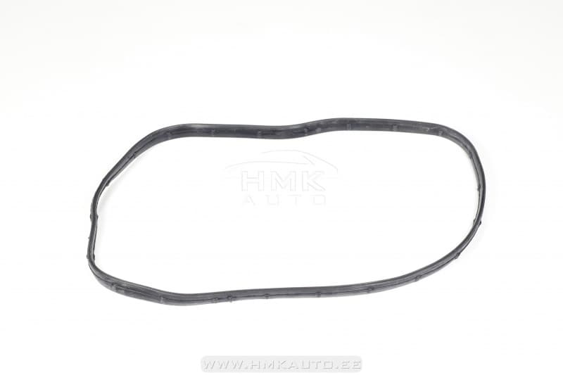 Nukkvõlli ketikaane tihend Jumper/Boxer/Ducato 3,0HDI 2006-