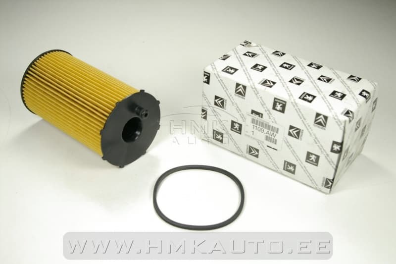 Õlifilter OEM Citroen/Peugeot 2,7HDI